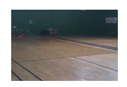 Laminated floor