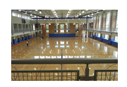Laminated floor