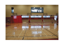 Laminated floor