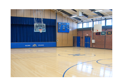 Laminated floor